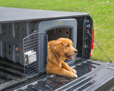 MultiCage Dog Transport Kennel System – AdeoPets